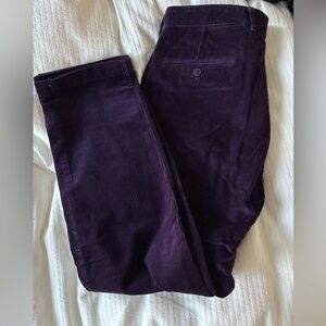 NWT J.Crew Pants (Size 33/30)